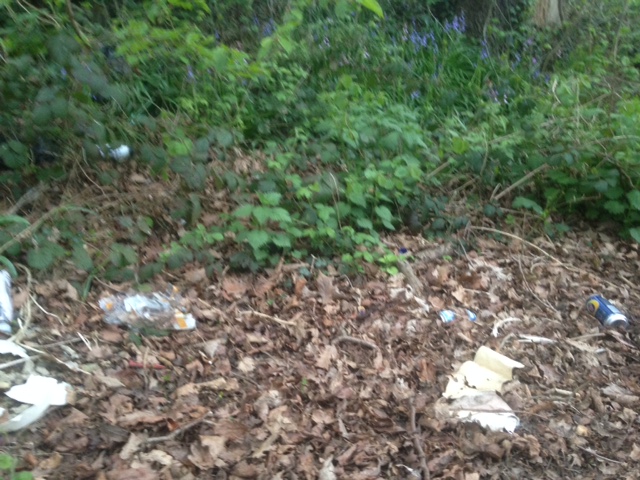 gamble lane rubbish 5