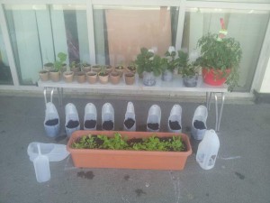 Making planters out of recyclable materials. Photo: Incredible Kirkstall