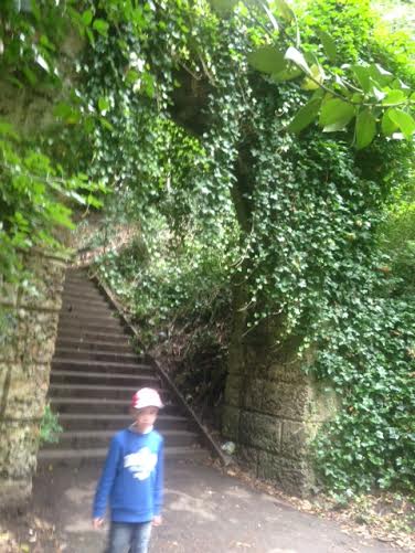 The 161 Armley Park steps are used by runners each week