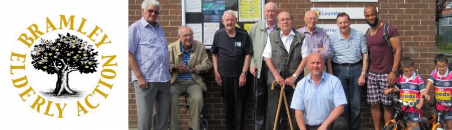 Bramley elderly action