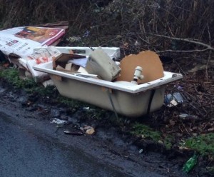 Problem: Dumped rubbish in Gamble Lane, Farnley.