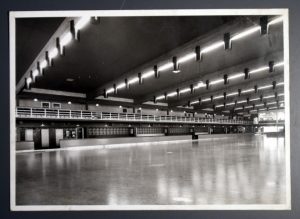 silver blades skating