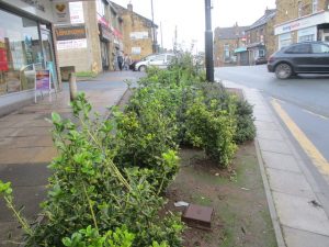 lidgett_hill_pudsey_flowerbed