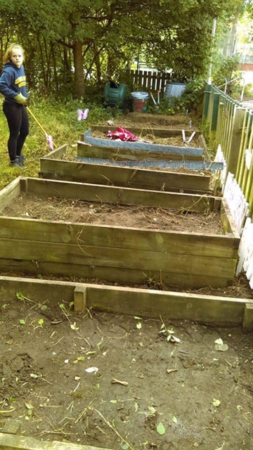 armley primary school veg garden work