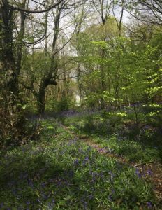 morris wood kirkstall leeds