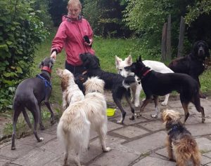 armley walkies group 3