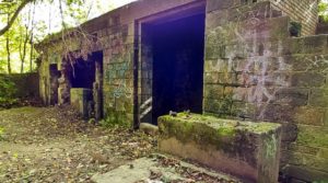 quarry building Bramley falls woods