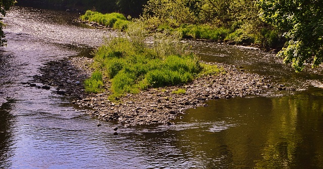 Remains of the Mill Stream 11-05-2017 09-17-27