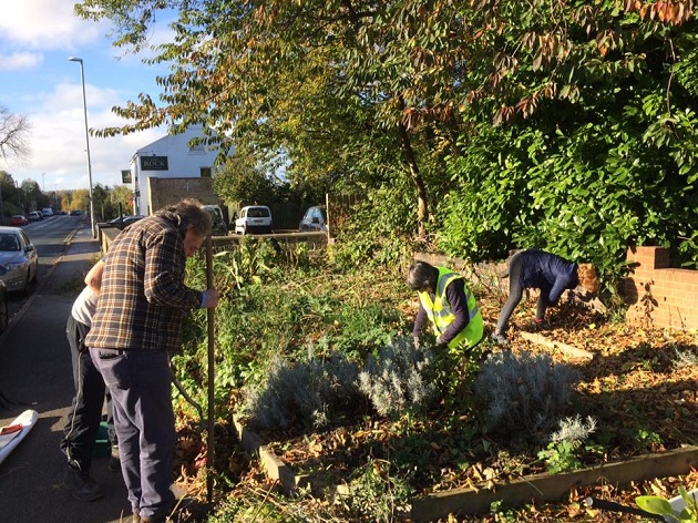 newlay garden during