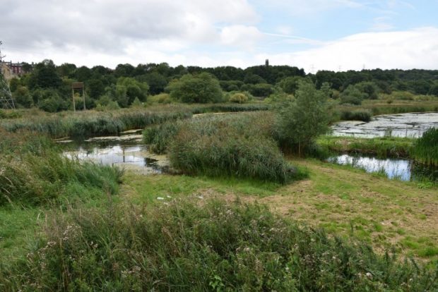 Leeds Architecture Awards 2019: Wins for Rodley Nature Reserve, Sunny ...