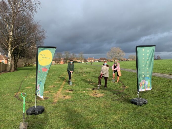 bramley tree planting stanningley park