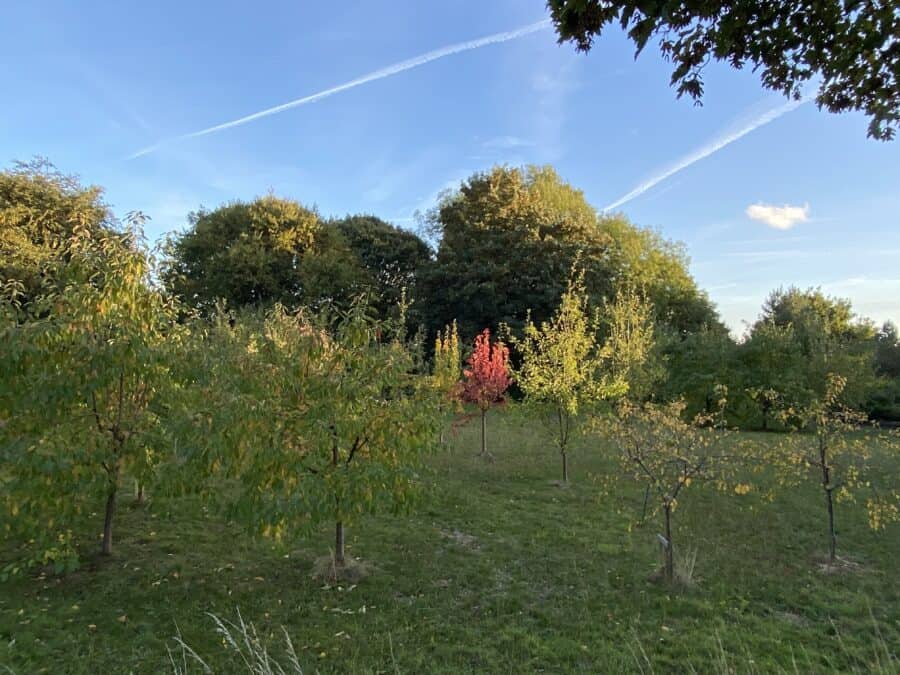 Western Flatts Park community orchard