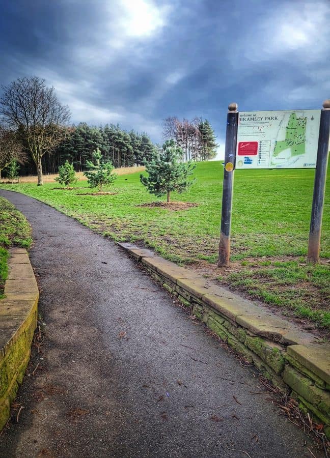 In photos New plantings in Bramley Park, chilly training in Kirkstall