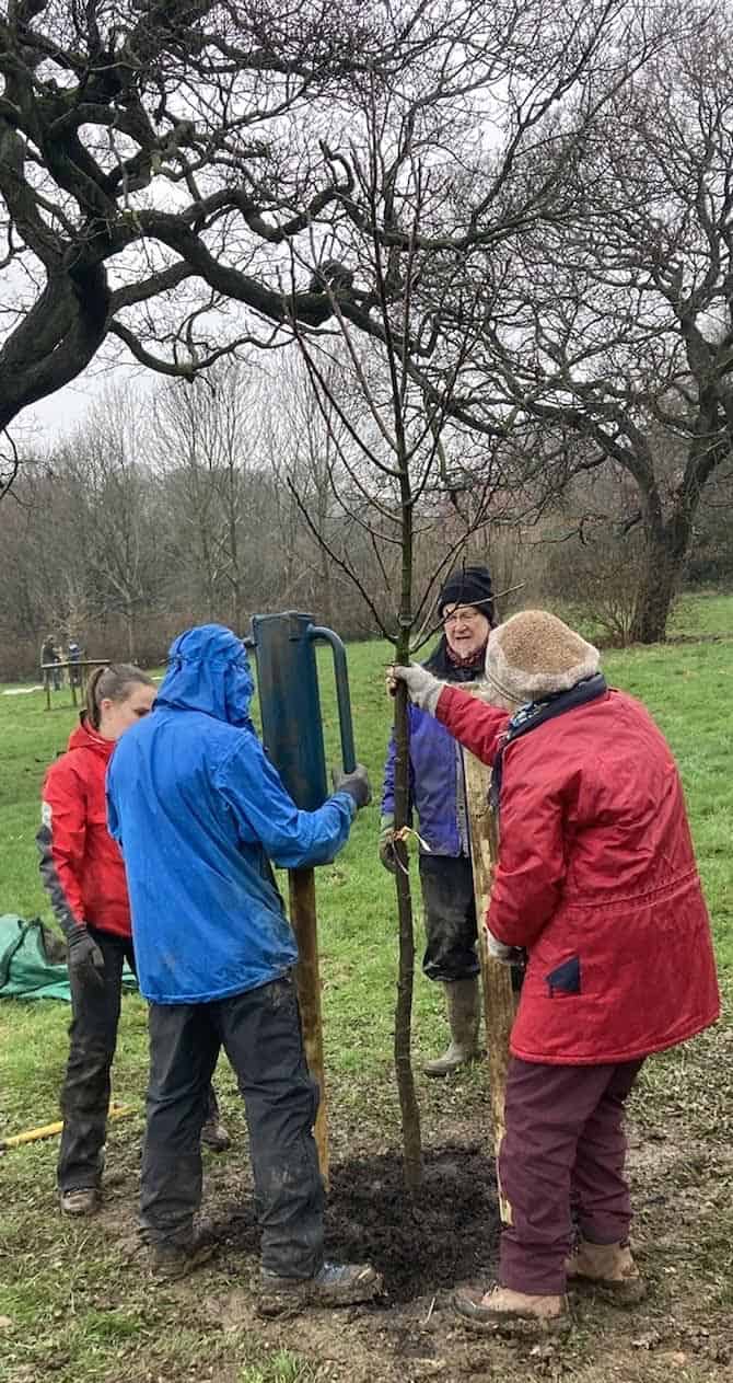 Friends Unite To Enhance Kirkstall Abbey Park’s Natural Beauty