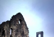 In photos: Catkins and a Little Egret in Kirkstall